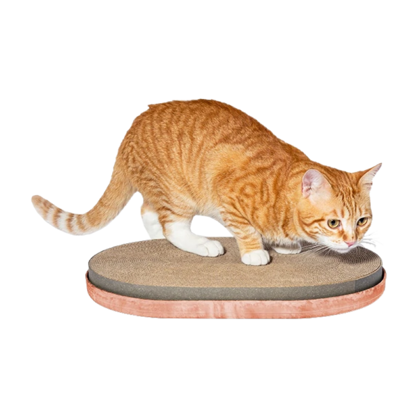 Zee.Cat Citrus Cat Scratcher