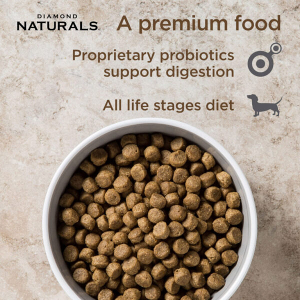 Diamond Naturals All Life stages Dog Chicken & Rice Formula - Image 2