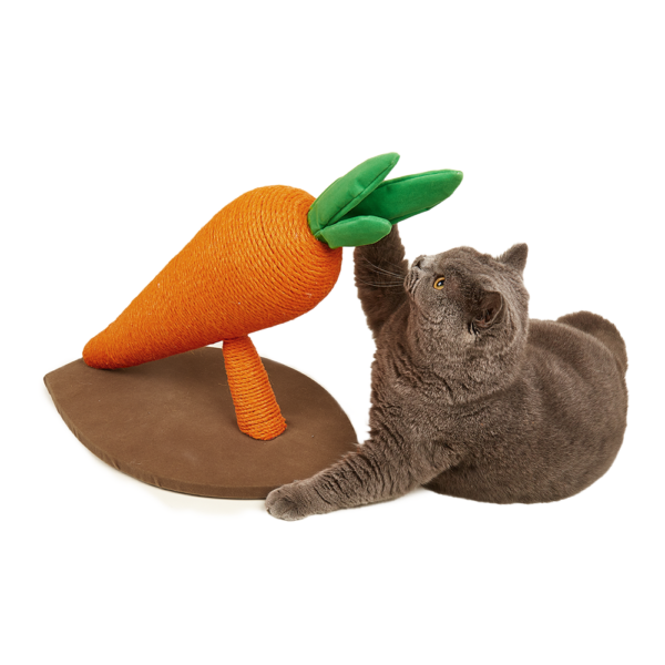 FOFOS Carrot Cat Scratcher L - Image 2