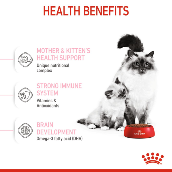 Royal Canin - Feline Health Nutrition Mother and Babycat - Image 7