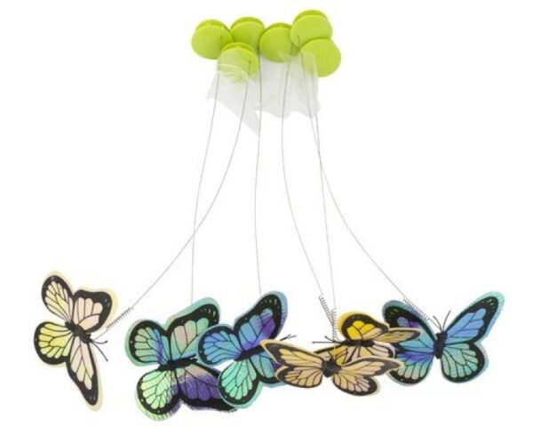 Flutter Bug Re-Fill - 6 pack - Image 2