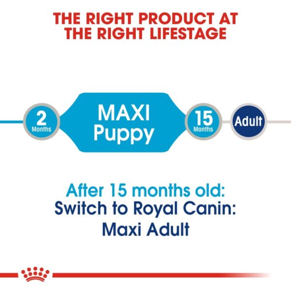 Royal Canin Size Health Nutrition Maxi Puppy (WET FOOD - Pouches) 10 x 140g - Image 6