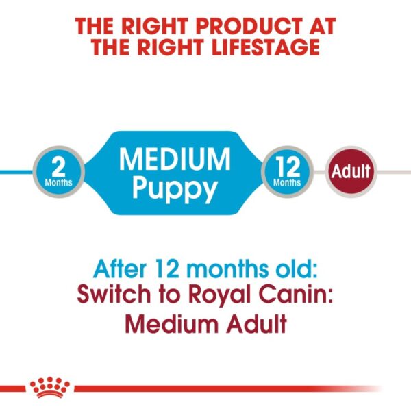 Royal Canin Size Health Nutrition Medium Puppy (WET FOOD - Pouches) 10 x 140g - Image 5