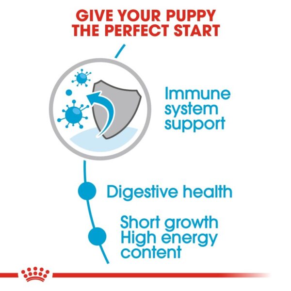 Royal Canin Size Health Nutrition Medium Puppy (WET FOOD - Pouches) 10 x 140g - Image 4