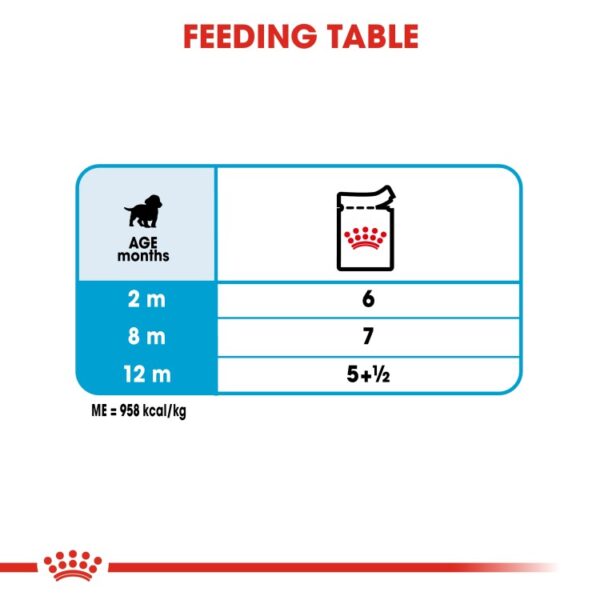 Royal Canin Size Health Nutrition Medium Puppy (WET FOOD - Pouches) 10 x 140g - Image 2