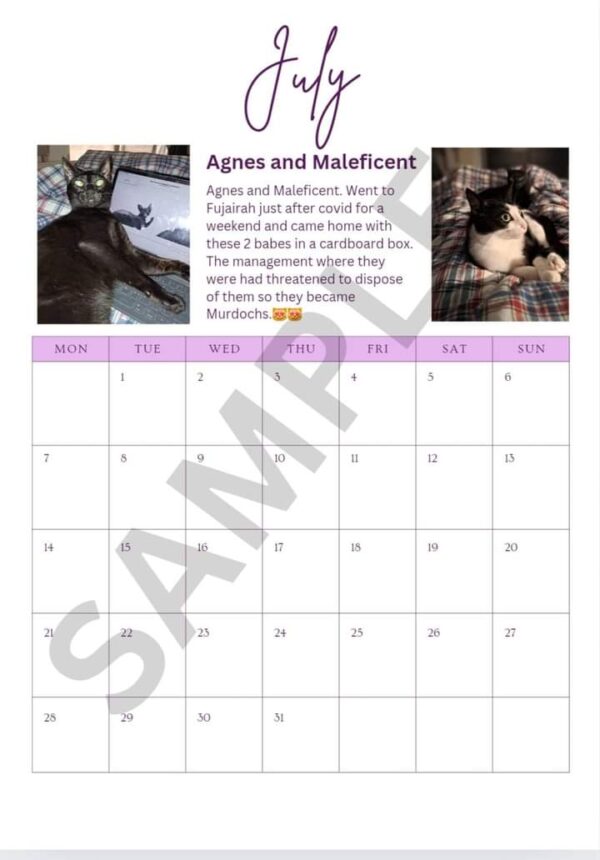 Khalifa City Lost Boys - 2025 Community Calendar - Image 8