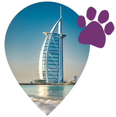 location marker dubai