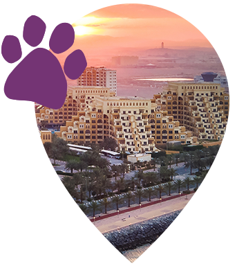 location marker other emirate