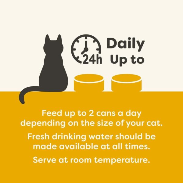 Applaws Chicken Wet Kitten Food 70g Tin - Image 2