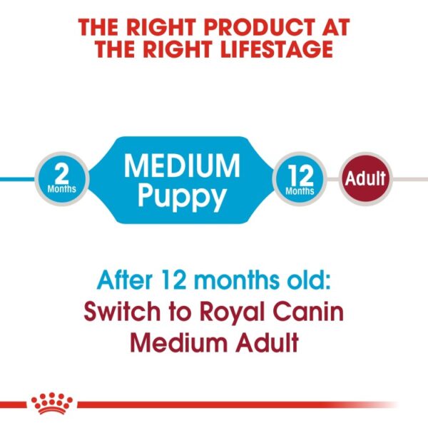 Size Health Nutrition Medium Puppy 1 KG - Image 2