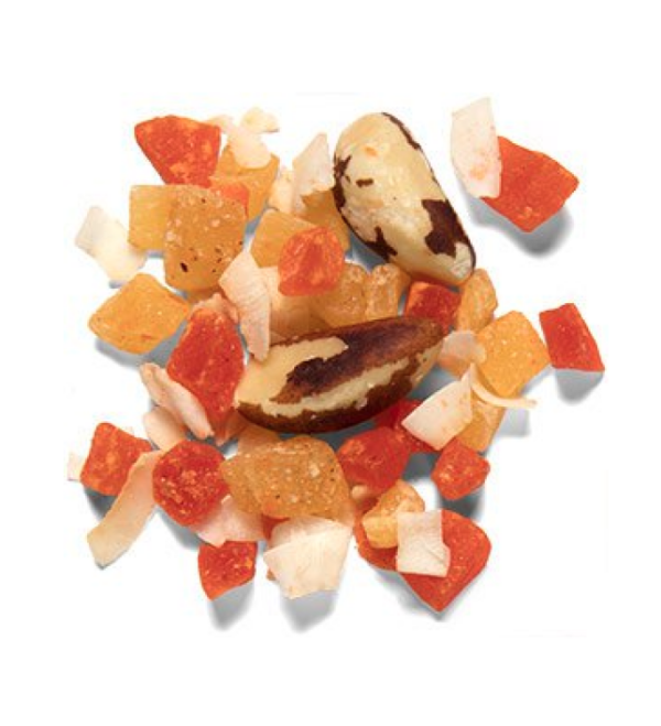 Real Reward Large Parrot Treats - Tropical Mix 170g - Image 2