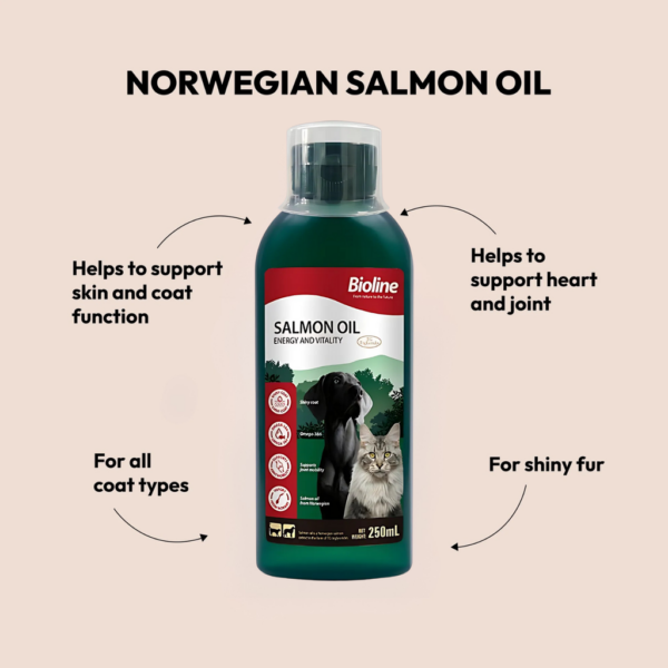 Bioline Norwegian Salmon Oil 250ml - Image 5
