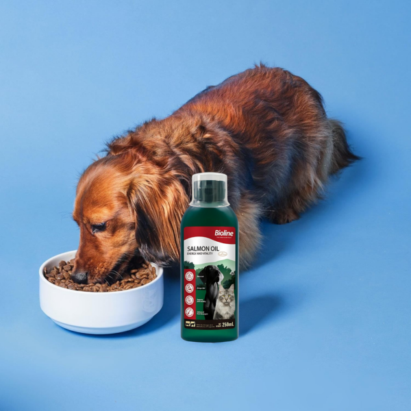 Bioline Norwegian Salmon Oil 250ml - Image 3