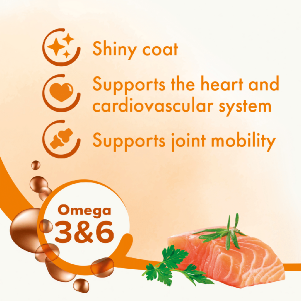 Bioline Norwegian Salmon Oil 250ml - Image 2