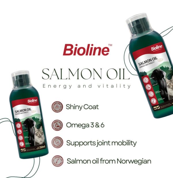 Bioline Norwegian Salmon Oil 250ml - Image 6