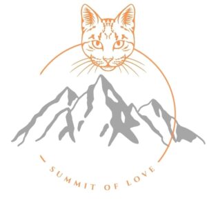 Summit of Love Wish List