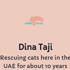 Dubai Street Kitties Wishlist