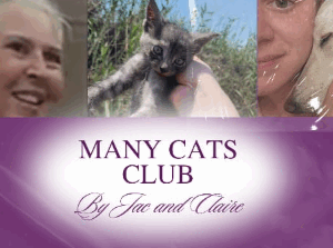 Many Cats Club Wishlist